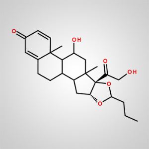 17α-Hydroxyprogesterone Caproate CAS 211-138-8